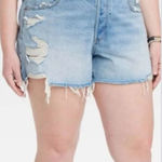 Universal Threads NWT Universal‎ Thread Mid-Rise 90s Baggy Shorts size 22 Photo 0