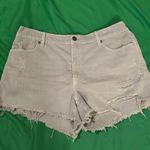 Aerie  Distressed Light Gray Jean Shorts size Large Photo 1