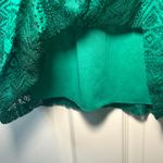 Anthropologie  Mi Ami Lace Sheath Dress Green Cap Sleeve Zipper Back Size Small Photo 3