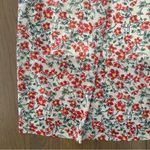 ZARA Floral Print Tulle Mesh Sheer Ruffle Maxi Dress in White, Red, Green Small Photo 2