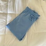 Aritzia baby blue boyfriend sweatpants Size L Photo 0