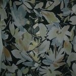 Karin Stevens  16 Short Sleeved V-Neck Luned Ruffle Top Plus Photo 1