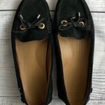 UGG  Black Flats with Bow Detail Photo 0