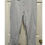 Anthropologie The Essential Slim Pant in Light Silver Light Blue Women’s Size 10 Photo 0