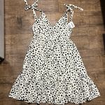 Davi & Dani NWT  Dalmatian polka dot dress Photo 1