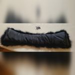 NWOT Black Fox Collar Photo 3