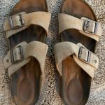 Target Sandals Birkenstocks Photo 0