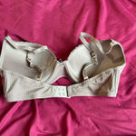 Daisy Fuentes  34c bra Photo 3