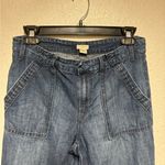 J.Crew  Blue Denim Pants Photo 2