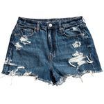 American Eagle  Comfort Stretch Waistband‎ Mom Short Destroyed Denim Size 6 Photo 1
