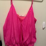 Impeccable Pig Top Photo 0