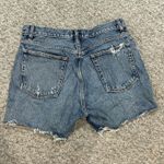 AGOLDE Denim Shorts Riley Photo 1