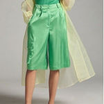 Anthropologie Hutch Pleated Utility Shorts Hi Rise Satin Green Size M NEW $148 Photo 0