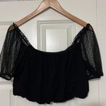 Lizard Thicket Top Photo 2