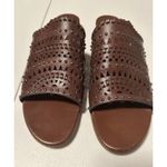 Brighton  Women's US 10N Neo Mule Sandals Carmel Leather Photo 2