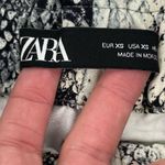 ZARA  Snakeskin Print High Waisted Paperbag Shorts Size XS Business Casual Chic Photo 5