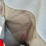 Chloé Chloe Marcie Large Saddle Leather Crossbody Pebble Gray Photo 11