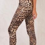 Princess Polly leopard print pants Photo 0