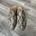 Frye NWOB  Nolan Seam Mule Taupe Snake 6.5 Photo 2
