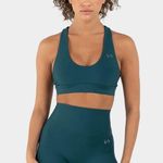 TLF Apparel Genesis High Support Sports Bra Black Photo 1