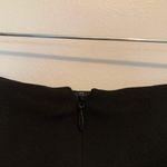 Carlisle  Black Skirt with Pleated Layer Photo 5