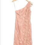 Reiss  Mena Crochet Lace One-Shoulder Dress Blush Pink NWT Size 2 Photo 2