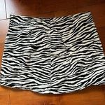 BDG Zebra Print Skirt Photo 3