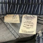 Terra & Sky  Stretch Skinny Jeans Elastic Back Panel Blue 1X 16W-18W Photo 2