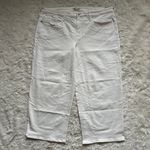 Madewell Jeans The Plus Perfect Vintage Wide-Leg Crop Tile White 20W NWT New Photo 5