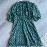 Francesca's  Green Floral Mini Dress Ruffle Chiffon Photo 1
