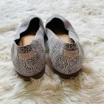 Toms Black/White Suede Leopard Julie Flat 6 Photo 5