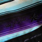 Raya Sun EUC Swim Shorts Juniors Size XS Photo 1