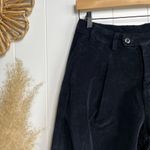 Free People  pants velvet baggy trousers pleated Photo 1