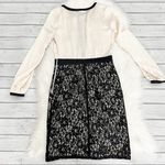 New York & Co. Cream and black lace dress Photo 1