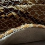 Michael Kors Embossed Leather Crossbody Bag Brown Python Snakeskin Photo 6