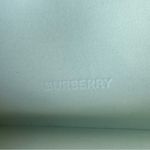 Burberry  Taupe Glasses Case with Cloth Photo 5