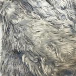 Avec Les Filles Women’s Gray Faux Fur Long Sleeve Soft Jacket Size L Photo 1