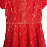 Oasis  Red Lace Dress Photo 4