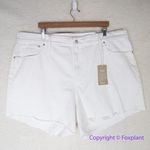 Madewell New!‎  High-Rise Denim Shorts in Tile White size 37 Photo 2