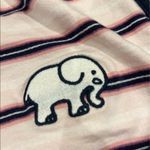 Ivory Ella Womens  shorts Photo 1