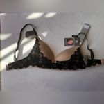 Daisy Fuentes  ~ Womens Bra Push Up Underwire Luxe Lace Black Beige ~ 34C Photo 2