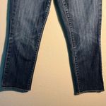 American Eagle  Outfitters Blue Ankle Cropped Denim Jeans Stretch Artist SZ 8 Y2K Photo 3