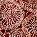 Anthropologie  Flora Bella Swirl Bouquet Bag Photo 4