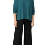 Eileen Fisher Women’s Linen Crepe Stretch Crew Neck Top Size L Teal Long Sleeve Photo 0