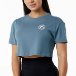 Alphalete  Women's Performance Short Sleeve Dynasty Crop Photo 0