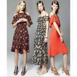 IRO  36 Yonelia Floral Ruffle MIDI Dress Photo 4