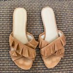 Ann Taylor  slides Photo 0