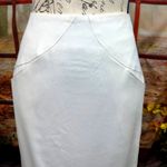 Zac Posen  Midi Skirt Vanilla size 10 Photo 5