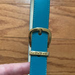 Pierre Cardin Aqua  Leather Belt 33 inches Photo 2