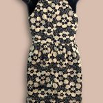 Urban Outfitters  Black Beige Floral Lace Knit Sleeveless Mini Dress Photo 8